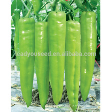 P20 Zhenbao f1 sementes híbridas de pimenta verde, 26 a 28cm, 80grams